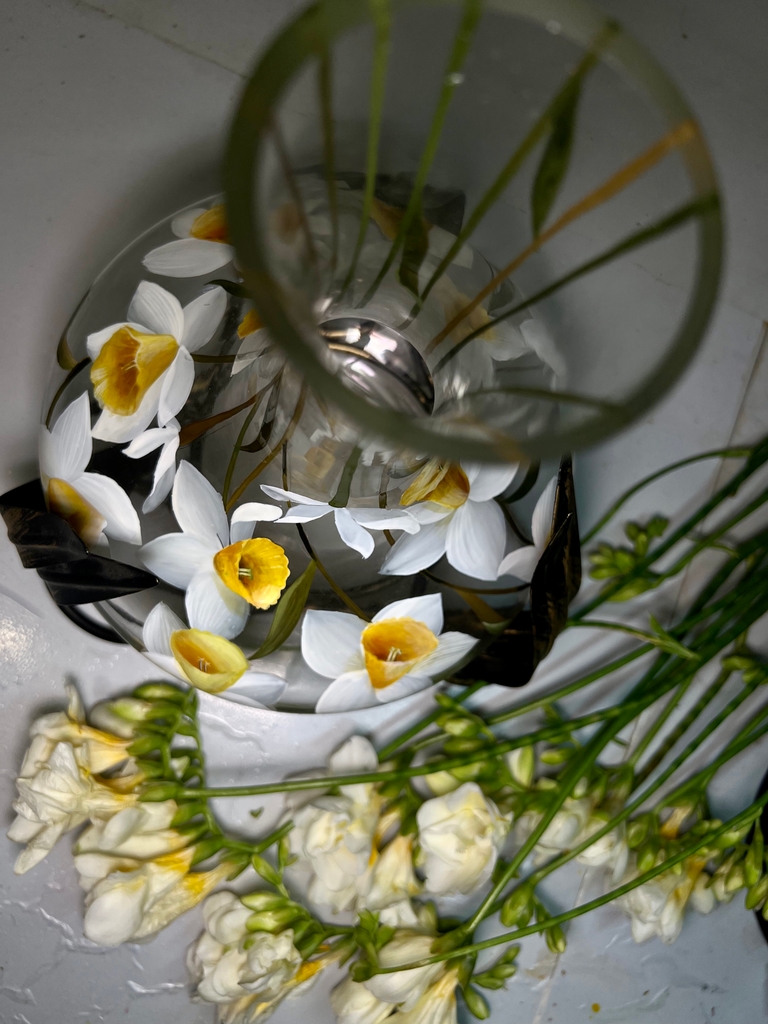 Daffodil’s Whisper